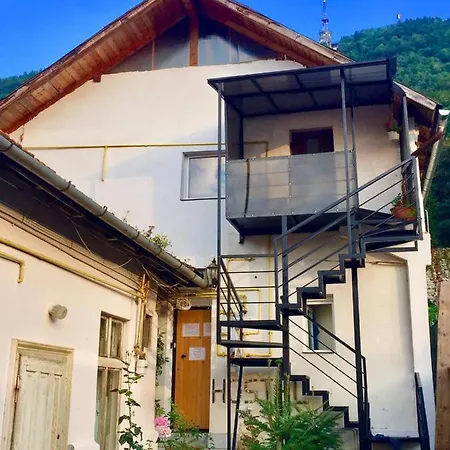 Downtown אכסניה בראשוב