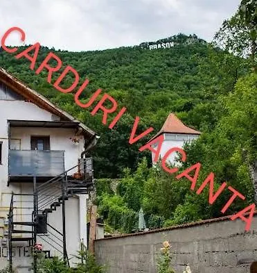 Downtown Auberge de jeunesse *