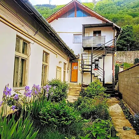 Auberge de jeunesse Downtown Braşov