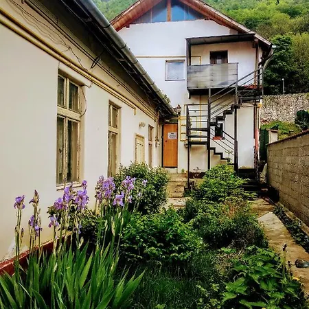 Downtown Auberge de jeunesse